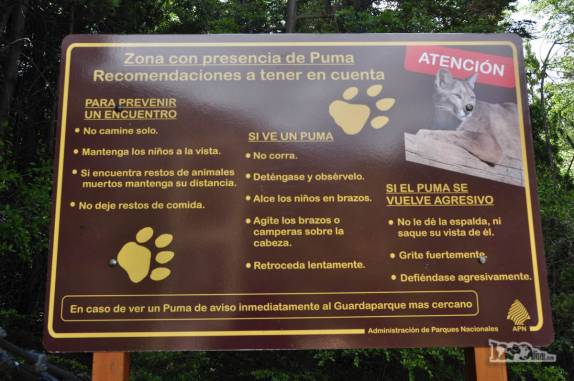 Aviso para presença de pumas em trilha no Parque Nacional Los Alerces, ao norte de Trevelin, na patagônia argentina
